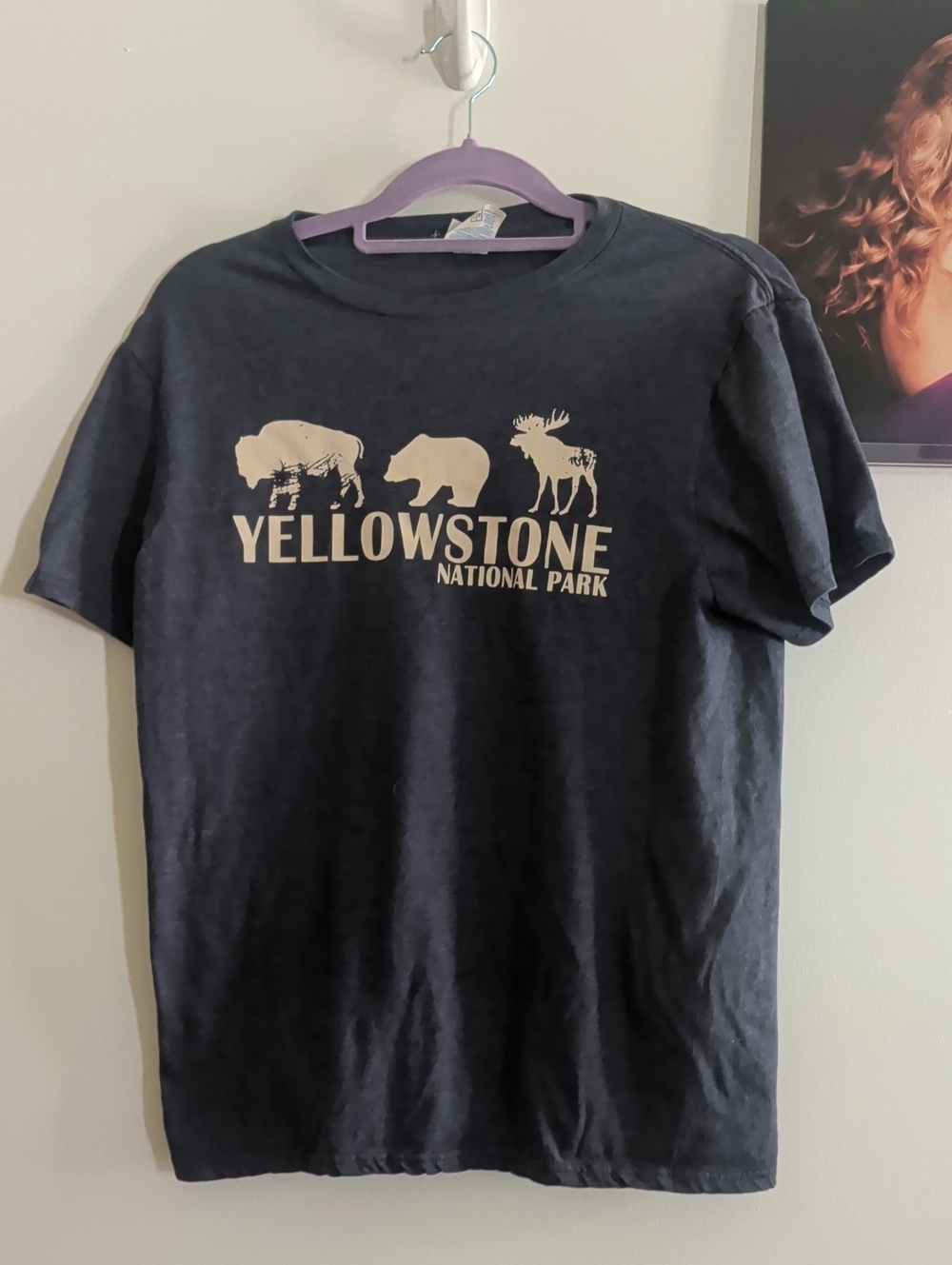 Yellowstone National Park Men's Navy Graphic T-Shirt